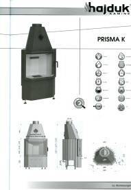 Hajduk Kamineinsatz Prisma K Tür zum schwenken klappen