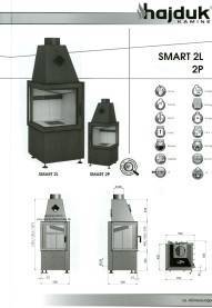 Hajduk Kamineinsatz Smart 2L 2P Tür zum schwenken klappen